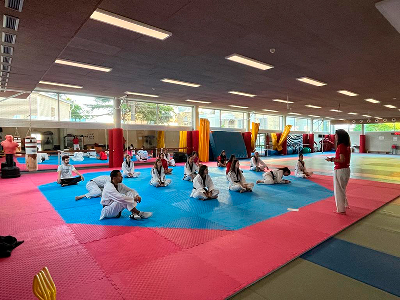 Curso de Profesor de Taekwondo Nivel 1