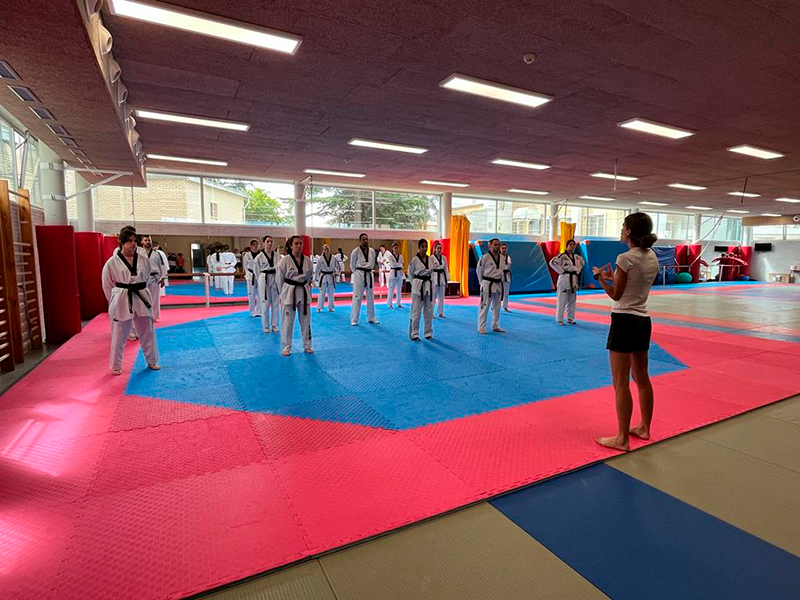 Curso de Profesor de Taekwondo Nivel 1