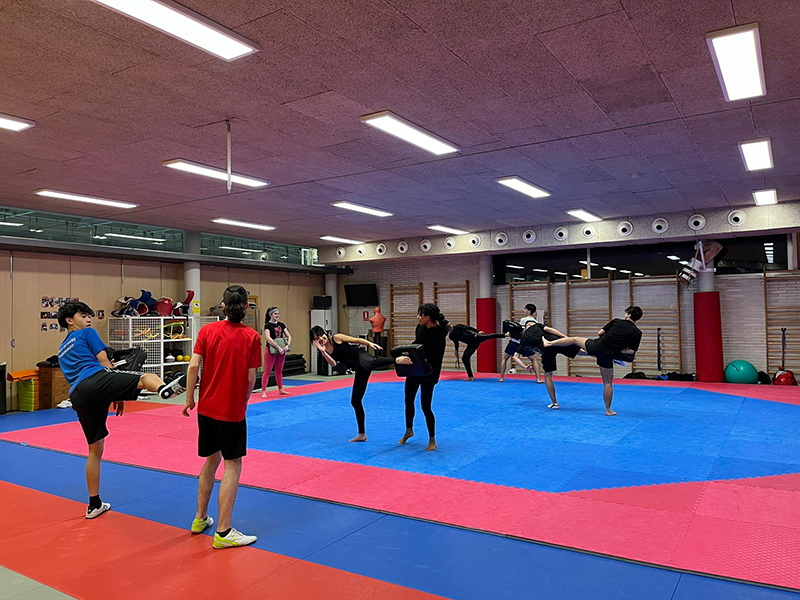 Navarra buscará las medallas en el Campeonato de España de Combate