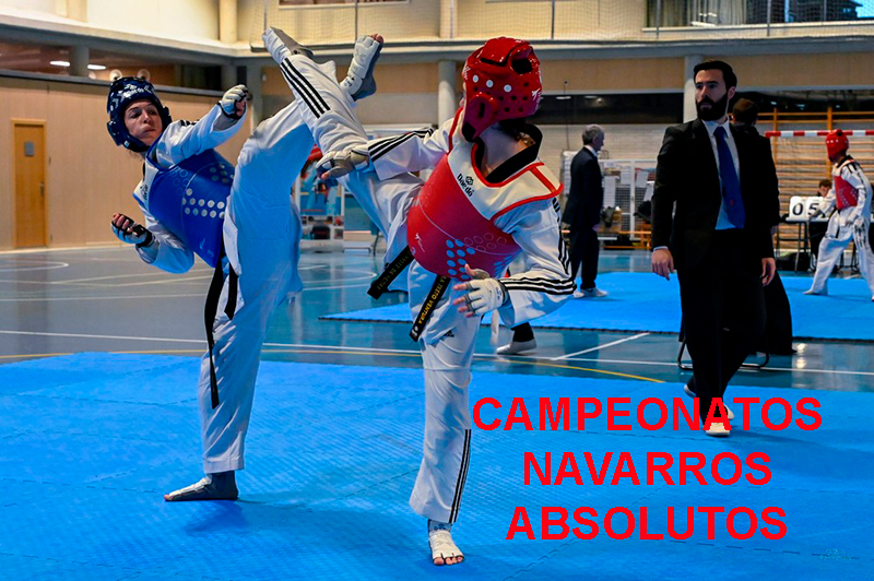 Campeonatos Navarros Absolutos