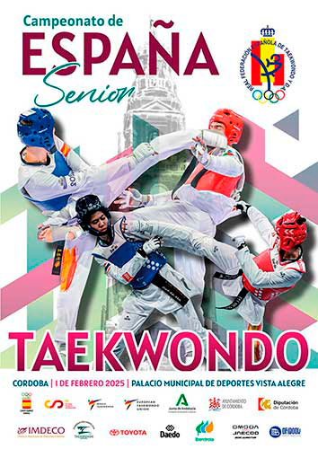 Navarra en el Campeonato de España Absoluto