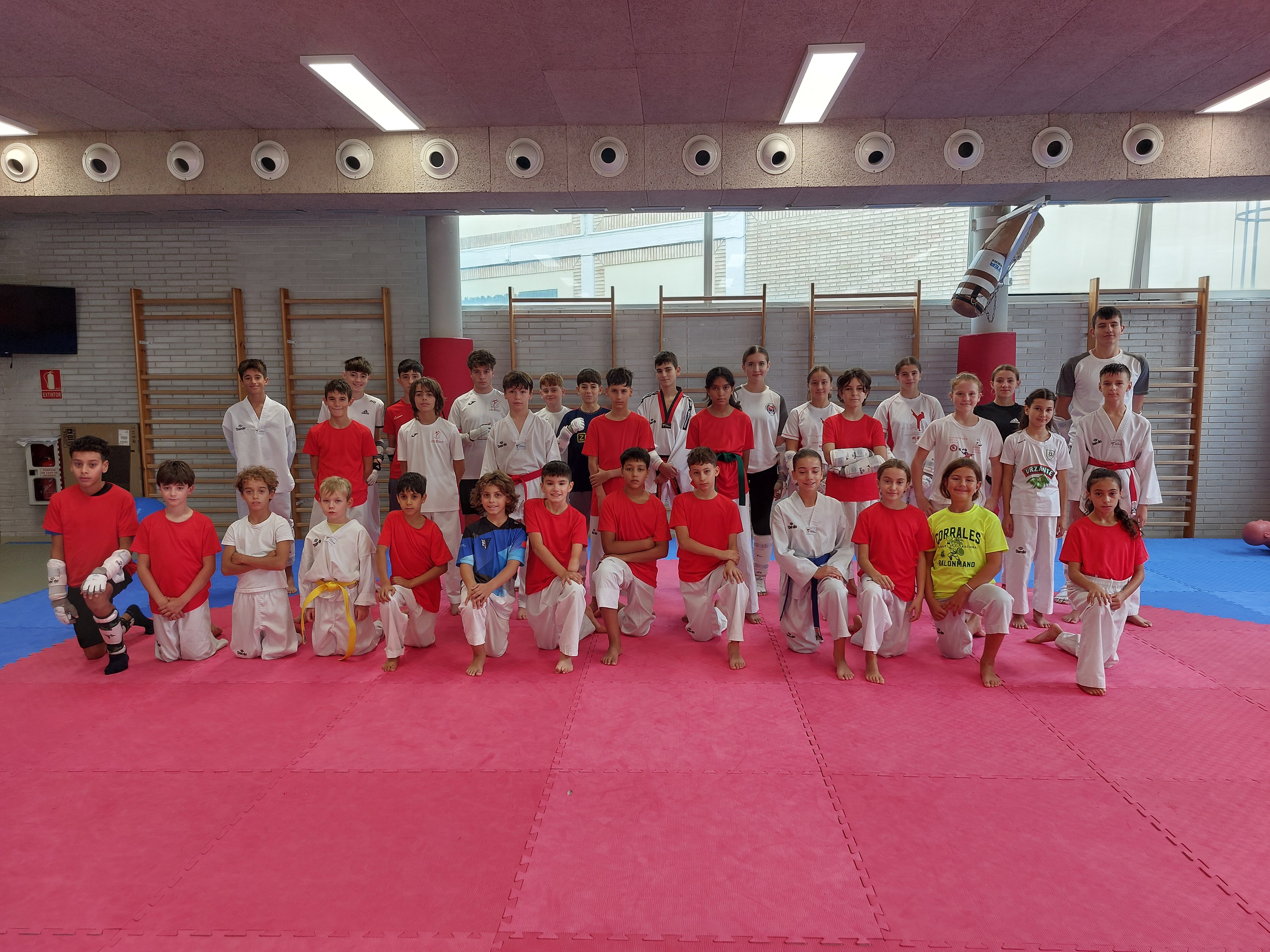 El mejor taekwondo se cita en Pamplona