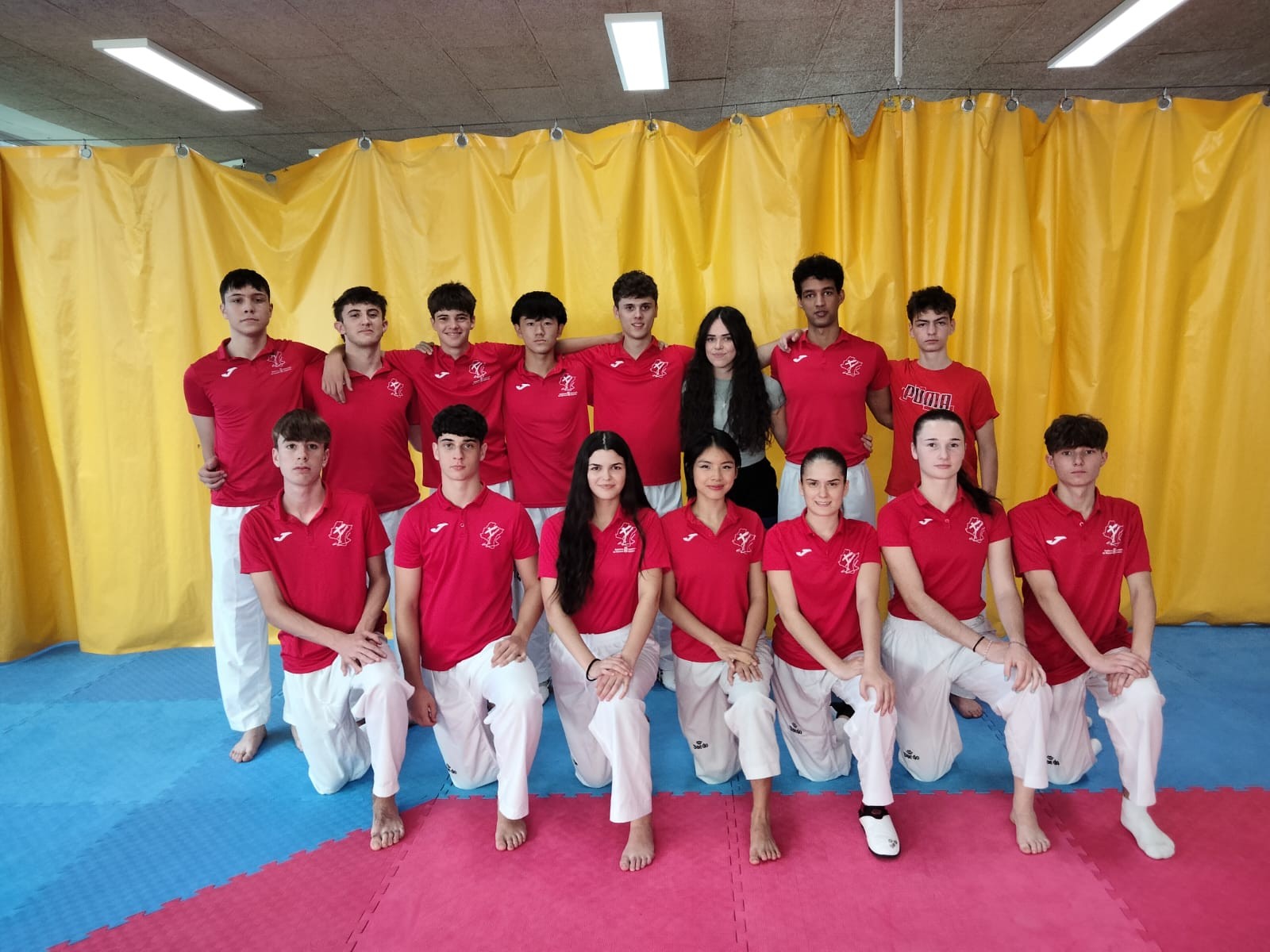 El mejor taekwondo se cita en Pamplona