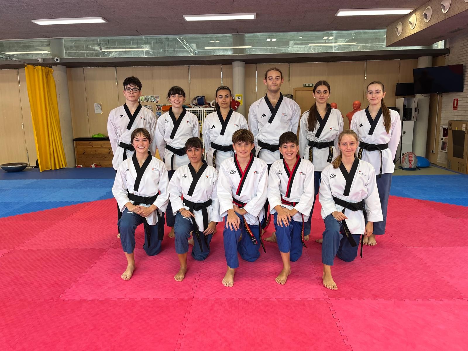 El mejor taekwondo se cita en Pamplona