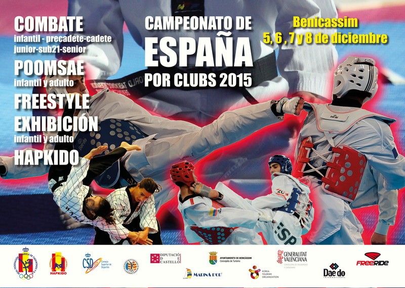 CLUBES NAVARROS EN EL CAMPEONATO DE ESPA&Ntilde;A 2015