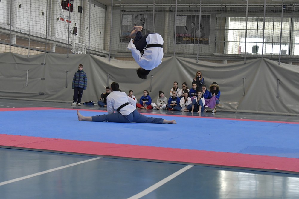 GALERIA DE FOTOS CTOS NAVARROS POOMSAE 2019