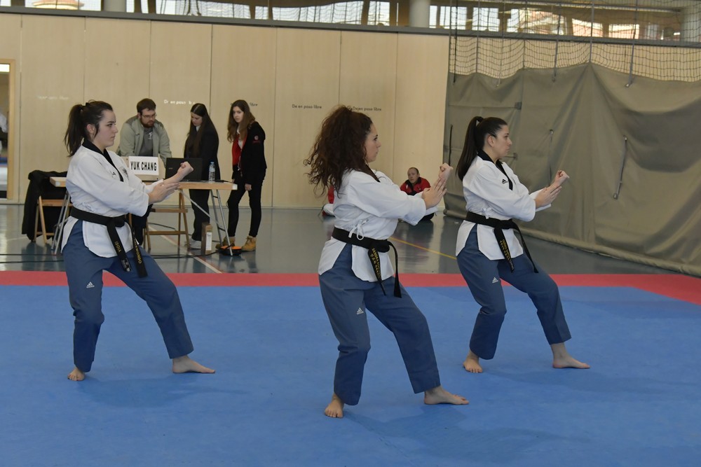 CTO ESPA&Ntilde;A POOMSAE Y FREESTYLE