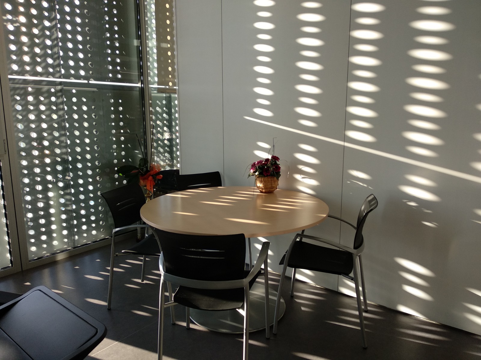 Nueva casa del Deporte