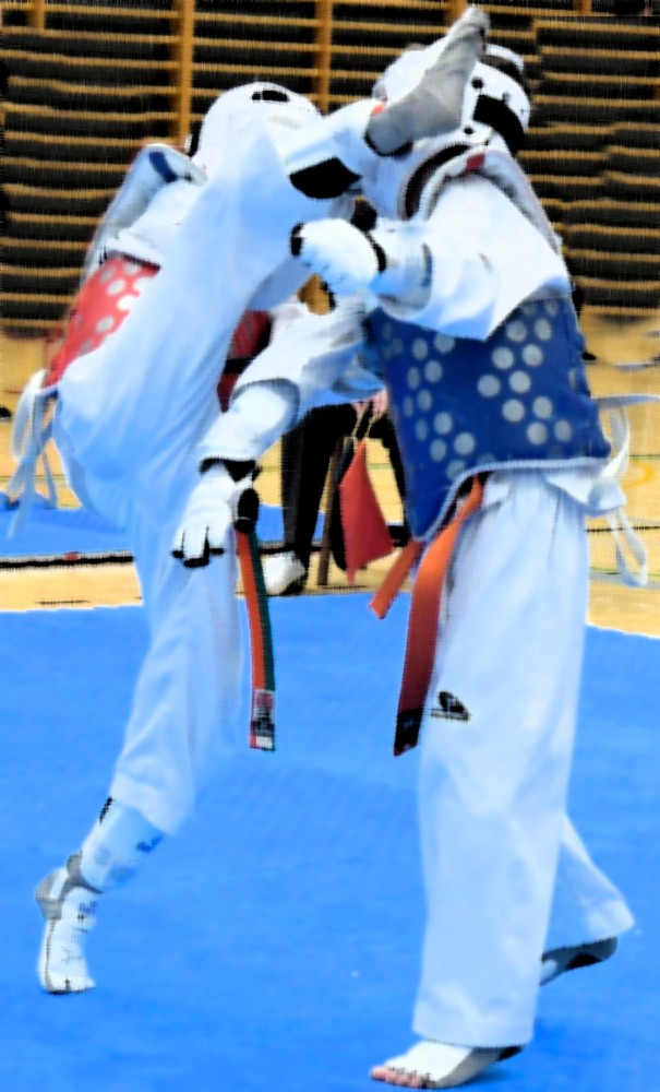 1 Fase JJDD 2019-2020 Y NAVARRO ABSOLUTO