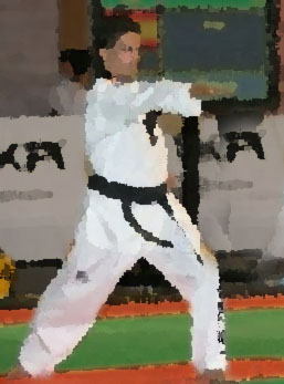 RESULTADOS Y GALERIA FOTOS CAMPEONATOS DE POOMSAE 1 MARZO