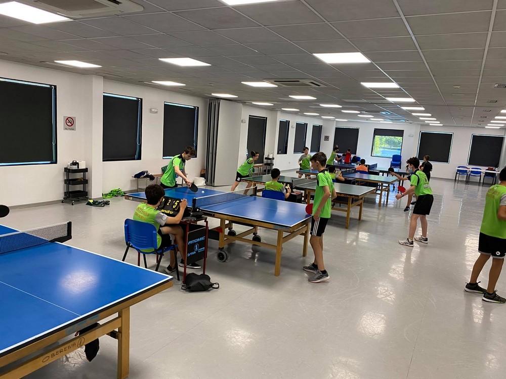 Campeonato Navarro Absoluto y Tops en Categorías Inferiores