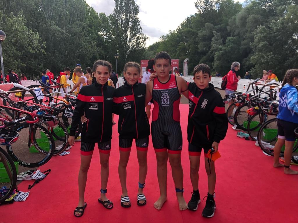 Navarra en el Campeonato de España por Autonomías