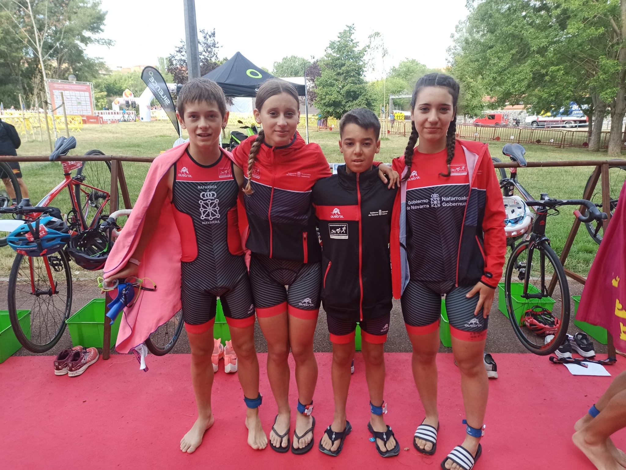 Navarra en el Campeonato de España por Autonomías