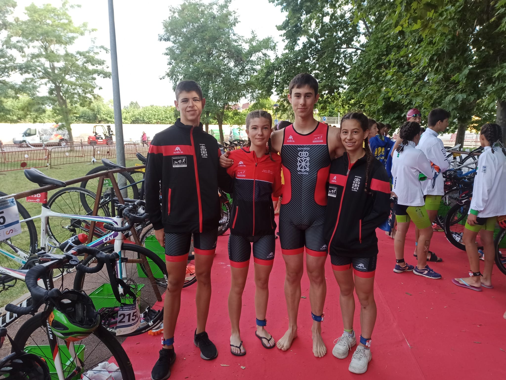 Navarra en el Campeonato de España por Autonomías