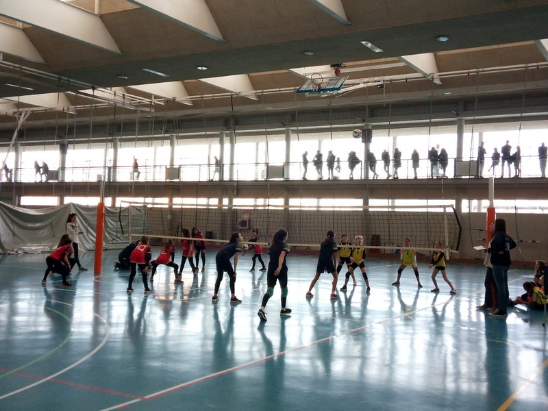 Finales de los Juegos Deportivos de Navarra