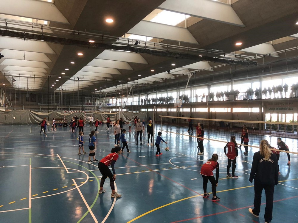 Larrabide acogió la primera concentración de Minivoley